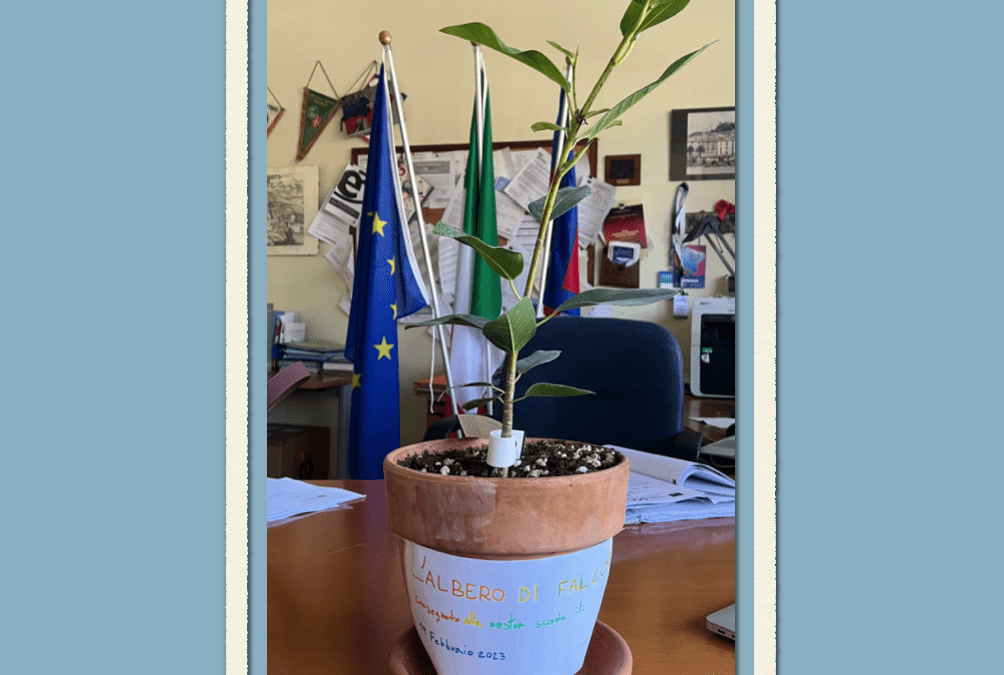 L’albero di Falcone è arrivato a scuola!