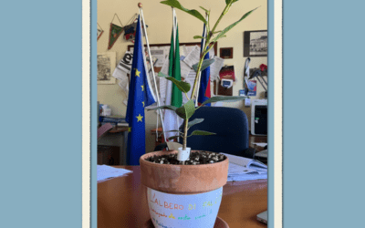 L’albero di Falcone è arrivato a scuola!