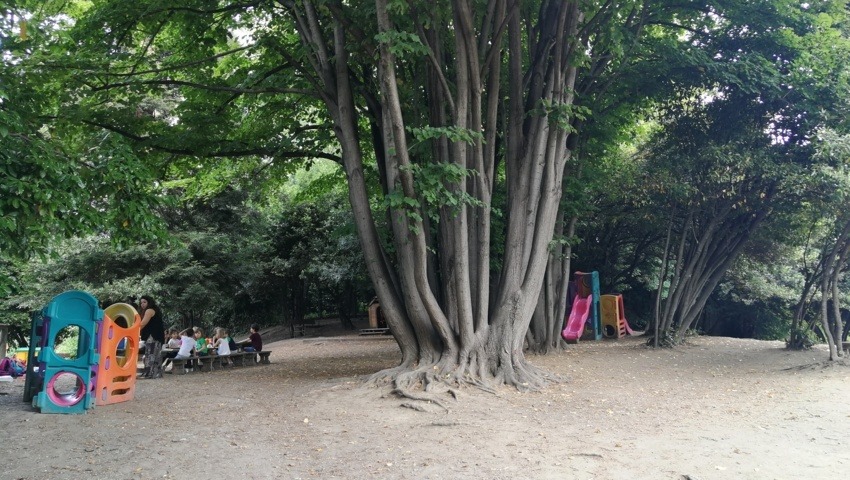 A scuola in natura a Villa genero: attrezziamo insieme il Parco!