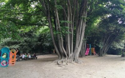 A scuola in natura a Villa genero: attrezziamo insieme il Parco!