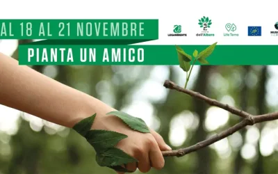 GIORNATA NAZIONALE DEGLI ALBERI